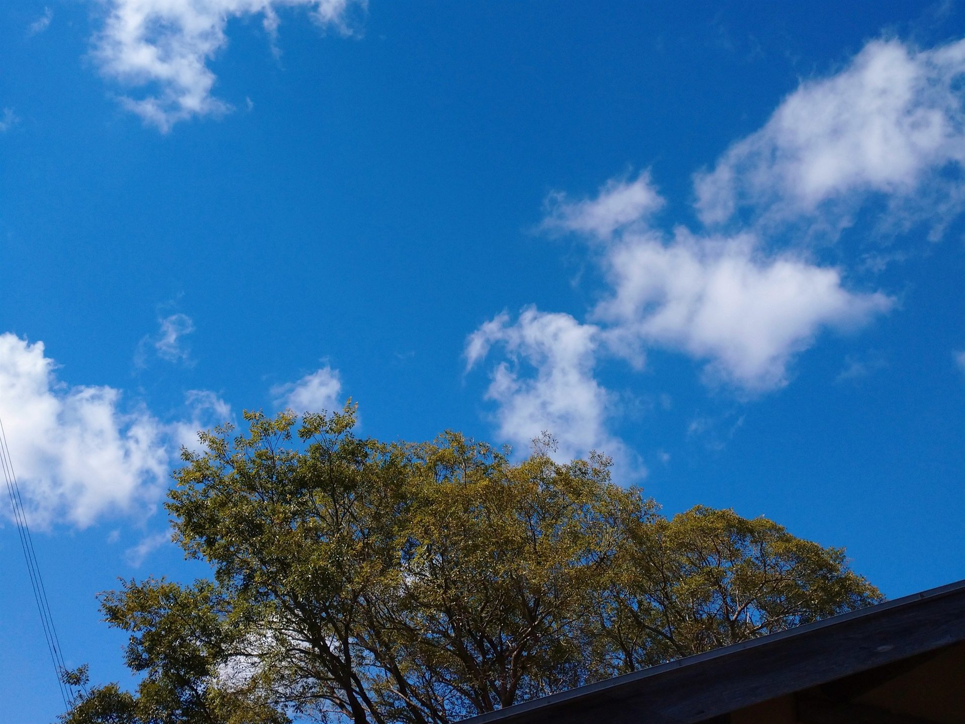 Lani Cafeから見える空