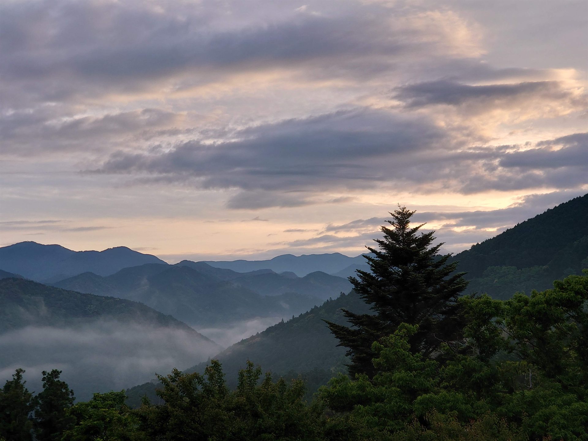 中辺路の山並み