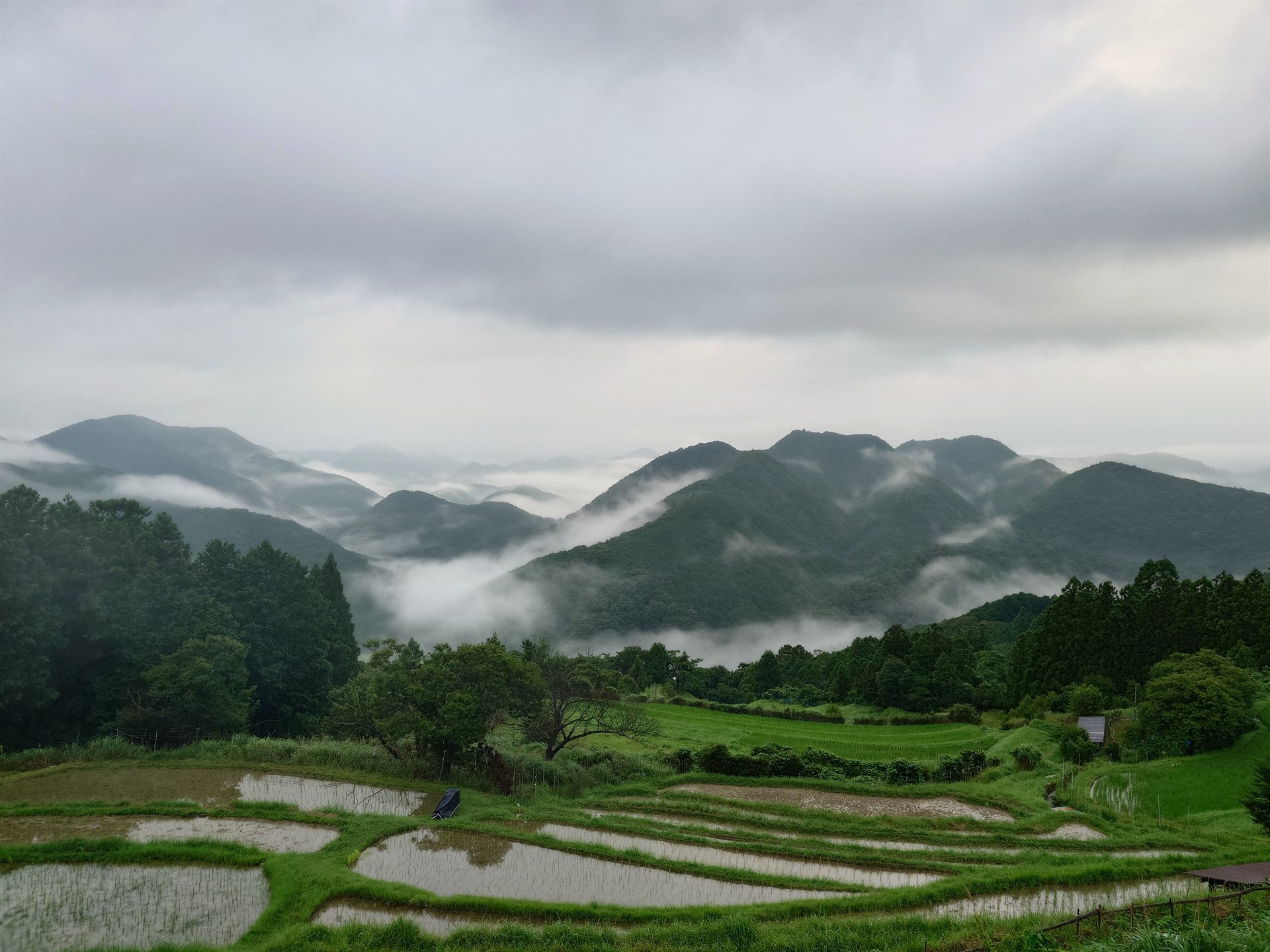 中辺路高原の田園